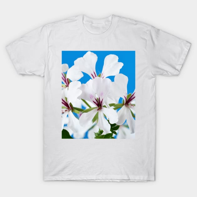 Ivy-leaved Pelargonium T-Shirt by chrisburrows